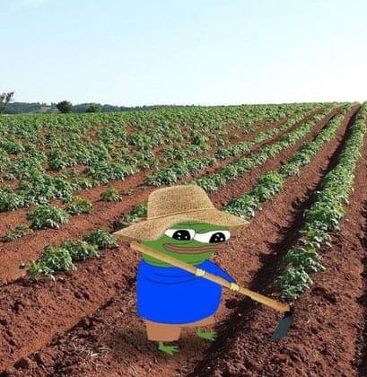 PEPE THE FARMER
