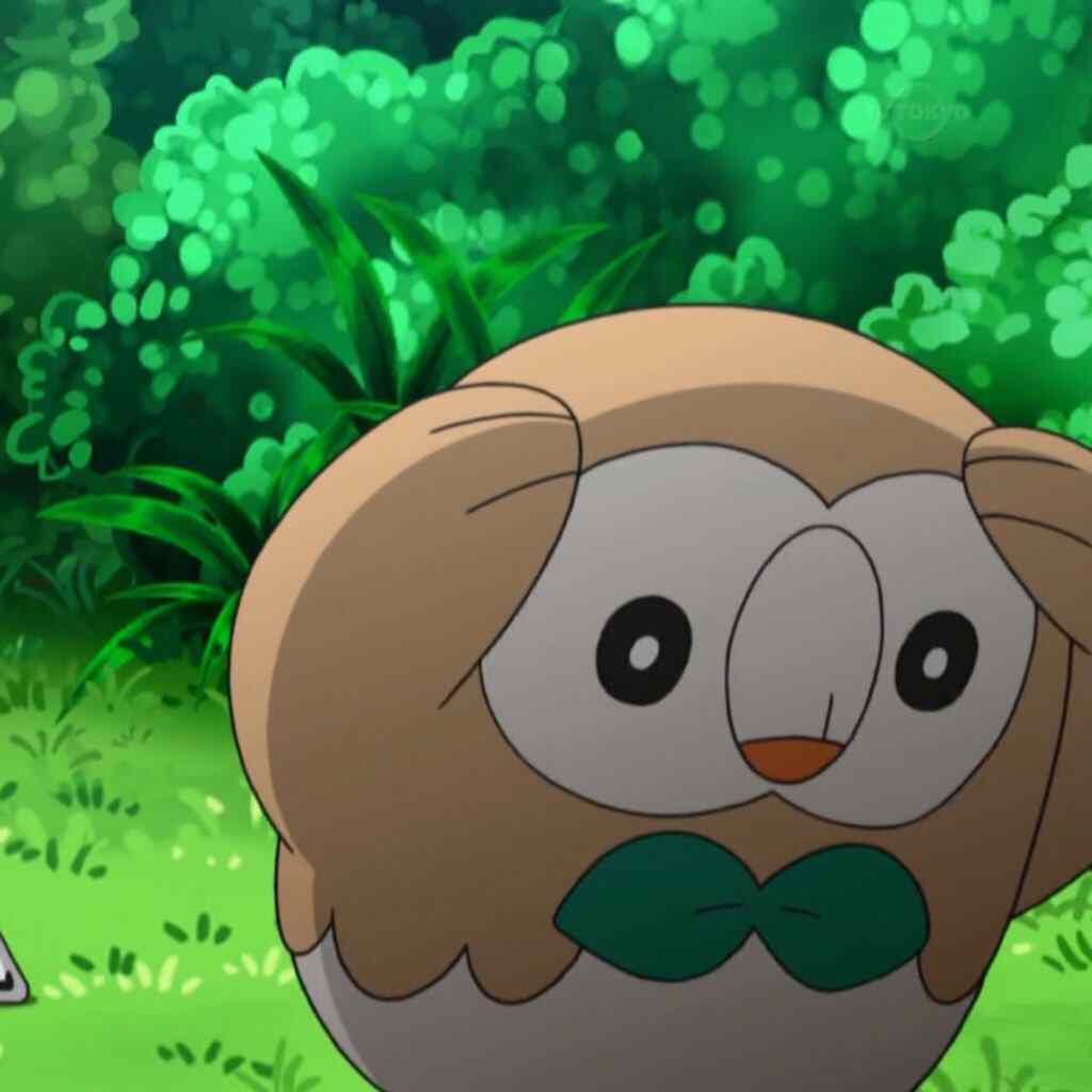 Rowlet Seller