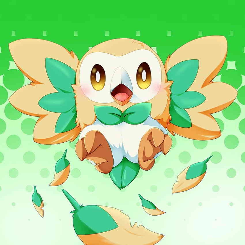 Rowlet Buyer